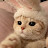 @야옹-g9u