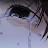 @user-pst1841