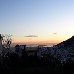 Vibe Asylum