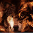 uT_Dm5A8M_c-channel-avatar-DevilSoul60