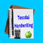 Tesodal Handwriting logo