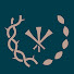 ttFOQoK19gc-channel-avatar-Weimar University