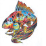 umXlS_Gvg-Y-channel-avatar-Funny Farm Fish & Things