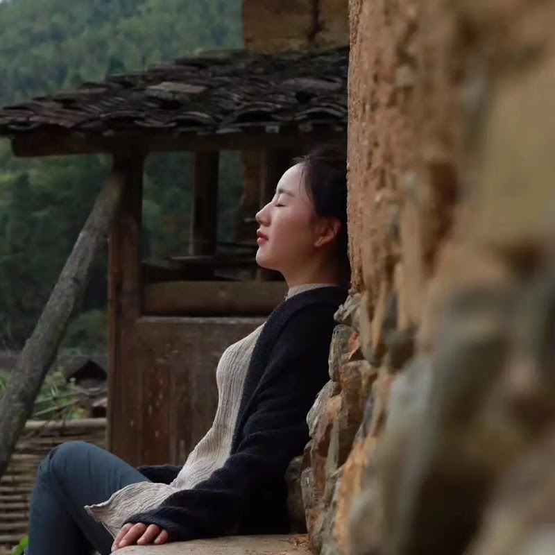 乡愁沈丹Shen Dan Logo