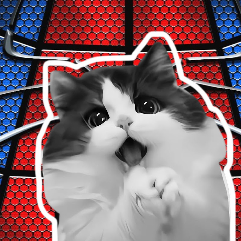 Meowphorius 