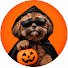 eyJDef-3HBg-channel-avatar-EpicBuzzBee