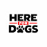 3potfnVfCm8-channel-avatar-Here For Dogs