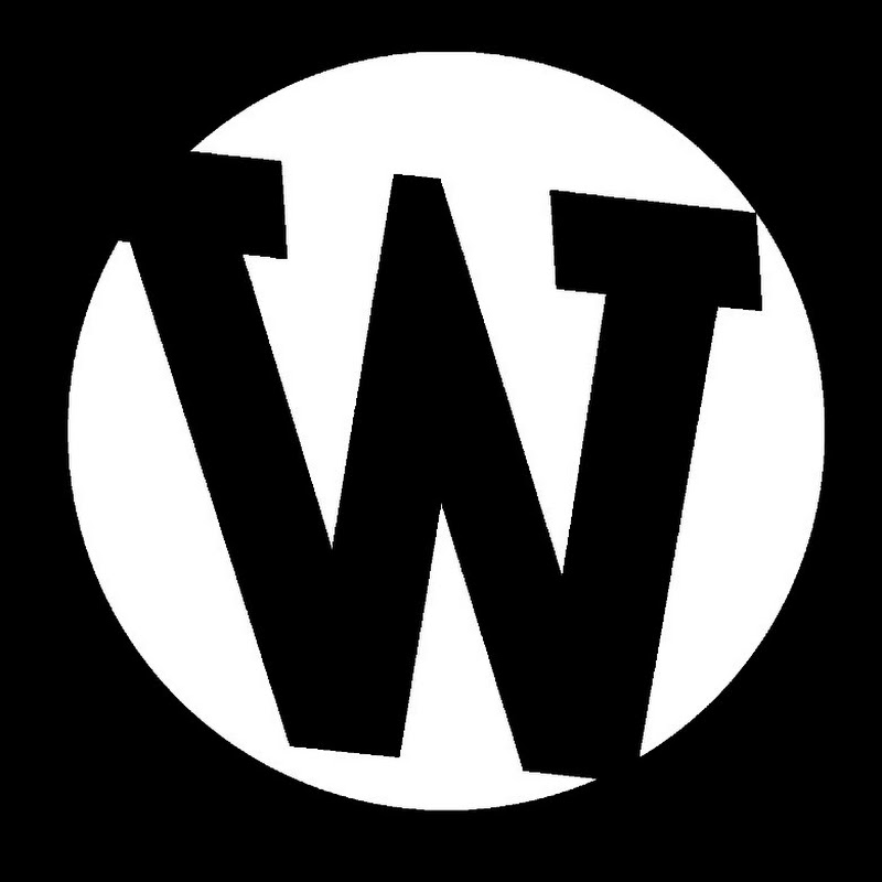 Володя Волошин