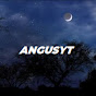 AngusYT logo