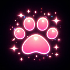 Purrsona Transformation