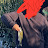 @007fishingSB Avatar