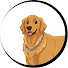 ljOF1wgyDtE-channel-avatar-DogLover