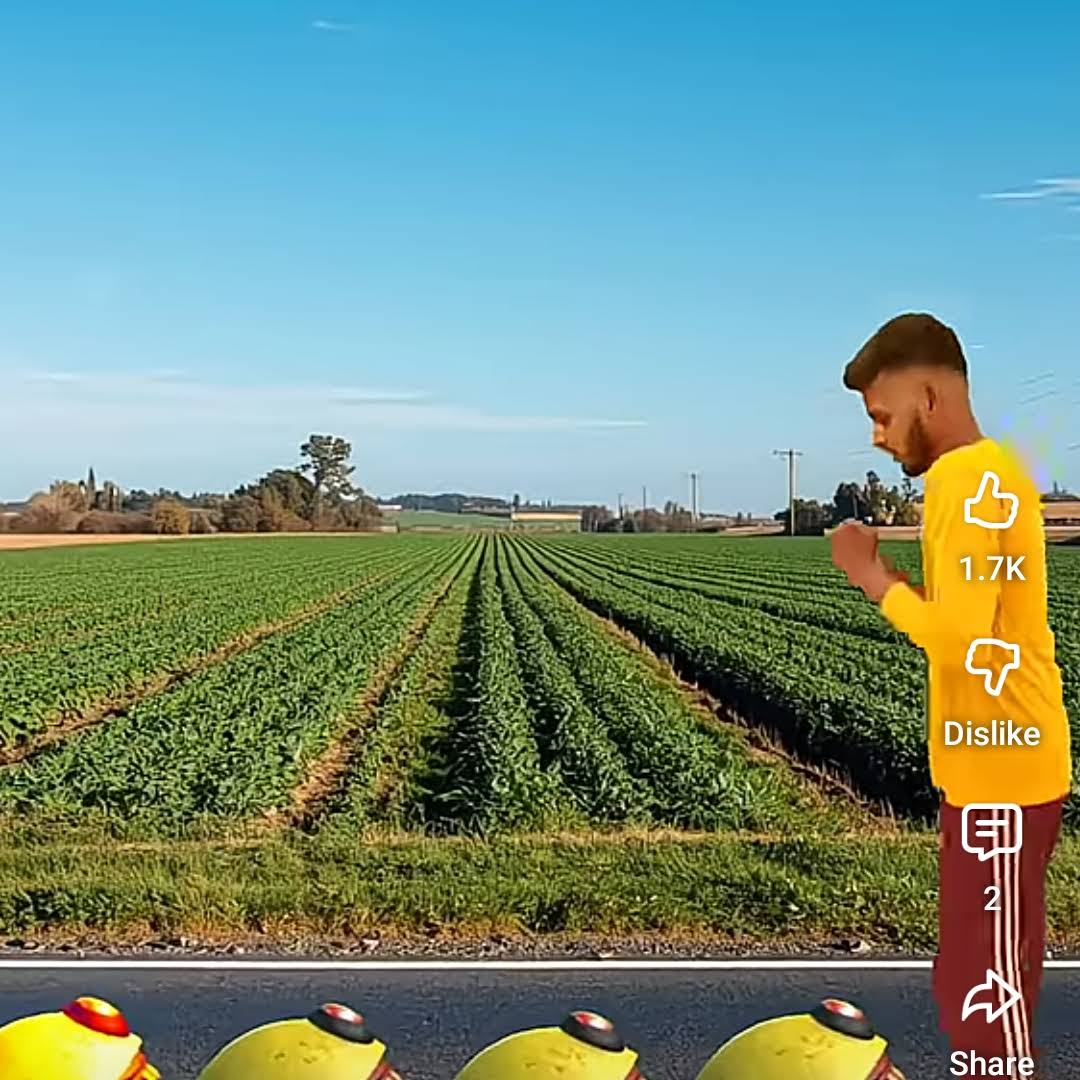 Post from Limbraj Gaikwad