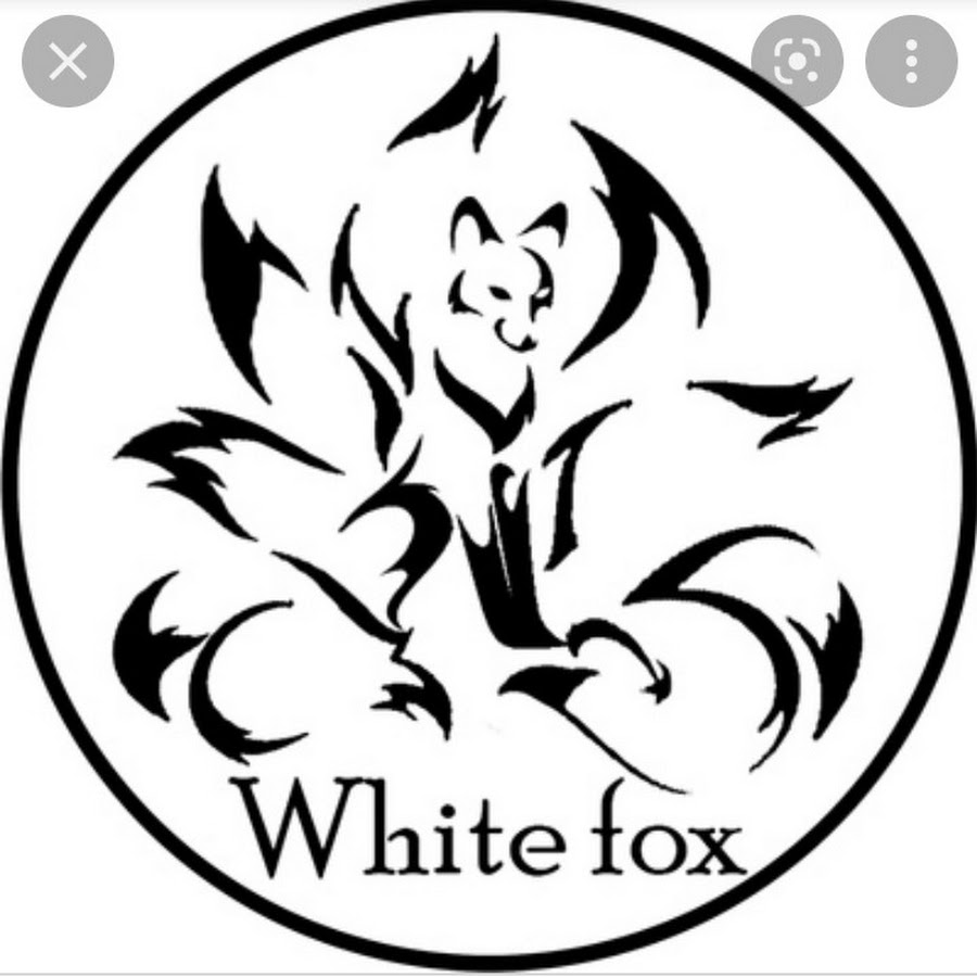 Fox names. White Fox студия. White Fox кафе. White Fox ВК. Кафе белый Лис в Витебске.