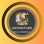 Explorethewild