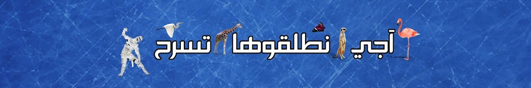 Boughatate YouTube kanalı avatarı