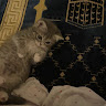 Автор