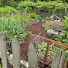 ae6lrDQJEqo-channel-avatar-Jess Watching the Garden Grow