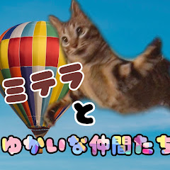 ミテラとゆかいな仲間たち
