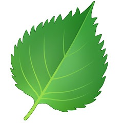 青じそ