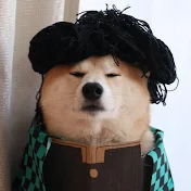 柴犬ちゃちゃチャンネル
