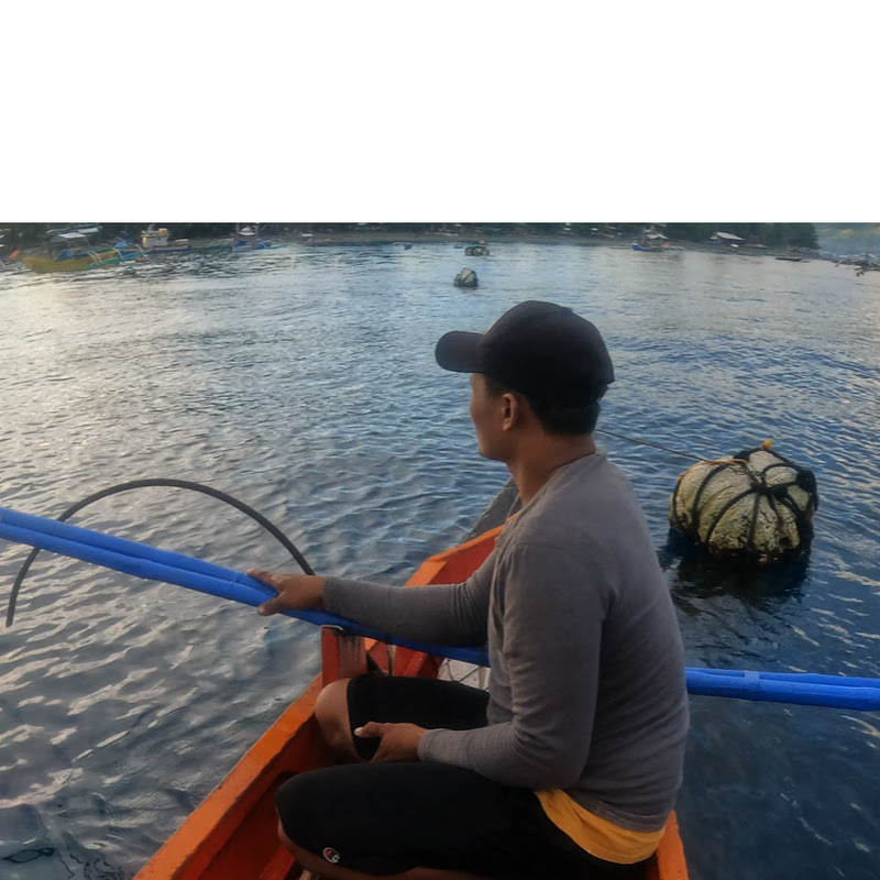 Seaseed Adventure