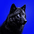 34MHkIWljB4-channel-avatar-Arete