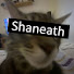 OC8bI-9bufI-channel-avatar-Shaneath