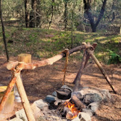 Extreme Survival