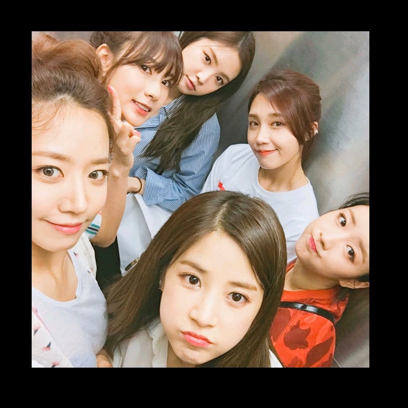 APINK밖에 '몰라요'