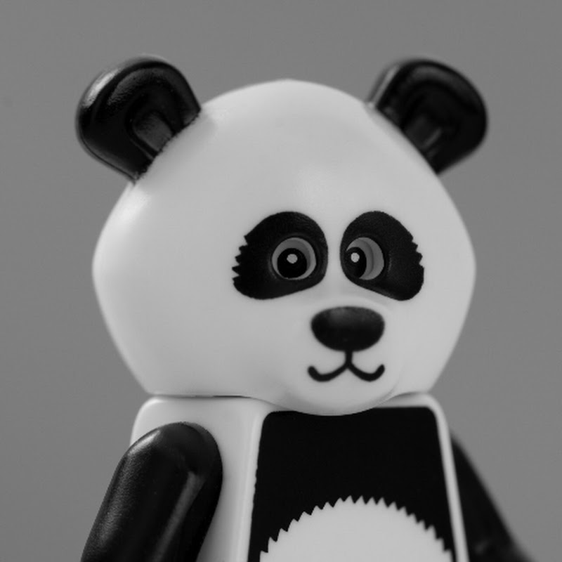 Pandis Pandus