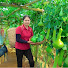 48t5M7ctF4Q-channel-avatar-Rural Woman’s Life