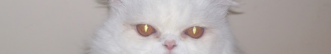 Kittensgr YouTube channel avatar