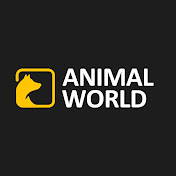 Animal World