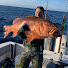Voe57NgKifc-channel-avatar-Jason Bihari spearfishing 