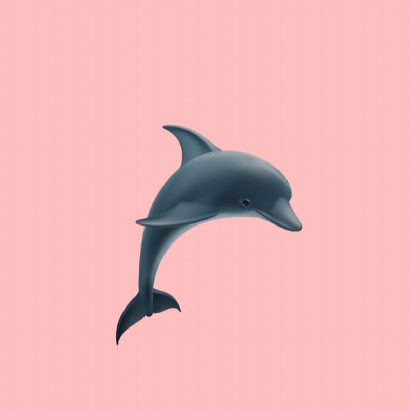 영화보는돌고래