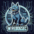 m4AD445q8tI-channel-avatar-WireDogSec