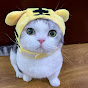 雪球日记qwq Image Thumbnail
