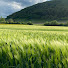 pr-lt_O25QM-channel-avatar-Tanchik Schweiz