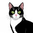 8KkFfGKW7zk-channel-avatar-Feline Remedy
