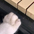 0tKxjhSCMJY-channel-avatar-𝚙𝚒𝚗-𝚙𝚊𝚗𝚐-𝚙𝚘𝚗𝚐 🎵 𝙲𝚊𝚝 𝙼𝚞𝚜𝚒𝚌
