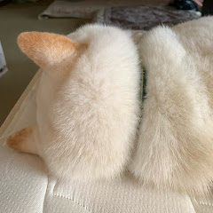 てつのあな