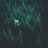 7-rL_MGWctQ-channel-avatar-Lanternwood Music