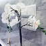 011R6fBN4Js-channel-avatar-SlaiPasui