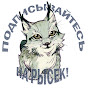 BobCat ТV