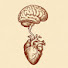 TxM9wRCPW3U-channel-avatar-Parasympathetic