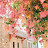 @goodlife-ir9fg