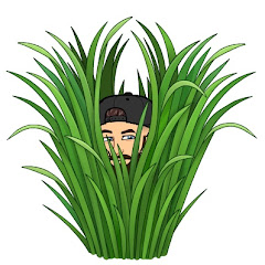 Mow It Wells net worth