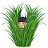 s-DmPm74RW0-channel-avatar-Mow It Wells