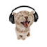 zqaUjJCAXFQ-channel-avatar-sped up songs